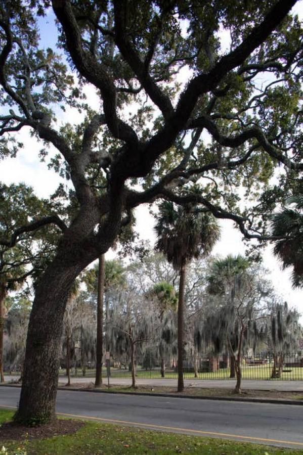 Villa Newly Renovated 4 Bed 3 Bath And 2 Parking Spots Savannah Exterior foto